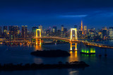 Fototapeta Miasta - Tokyo skyline with Rainbow bridge and Tokyo tower. Tokyo, Japan.