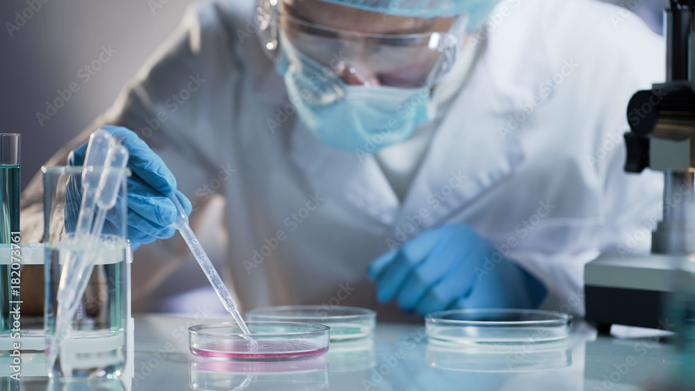 Scientist carefully carrying matured cell to another plate, conducting research - obrazy, fototapety, plakaty 