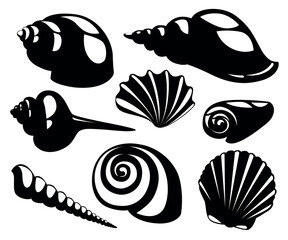 Wall Mural - vector sea shells and pearl seashell silhouettes isolated on white background