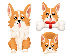 Wall Mural - Vector illustration of cute dog Welsh Corgi. Nice puppy for greeting card, pet shop or veterinary clinics. Dog Welsh Corgi standing Web site page and mobile app design element