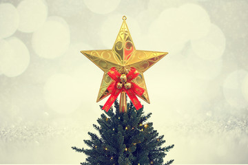 Wall Mural - Gold glitter star decoration on top of a Christmas tree with blur background