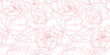 Seamless pattern, hand drawn outline pink Peony flowers on white background