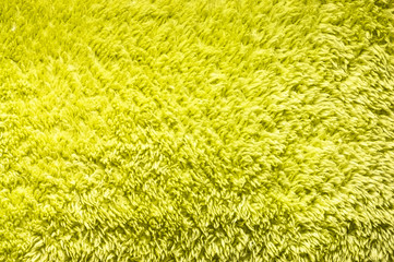 Wall Mural - Bright green plush or wool texture