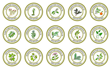 Wall Mural - Set of essential oil labels