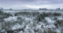 Snow English Countryside