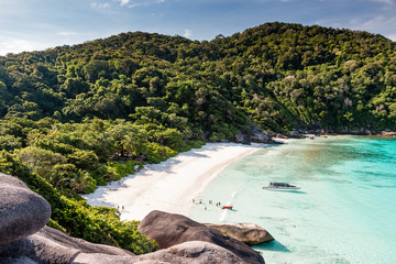 A beautiful jungle covered tropical beach in asia