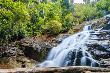 Wall Mural - A waterfall running through a tropical rainforest