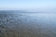 Nationalpark Niedersächsisches Wattenmeer Bei Cuxhaven