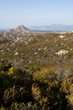 Corsica, 30/08/2017: lo skyline e il paesaggio selvaggio dell'Alta Corsica con il Mar Mediterraneo sullo sfondo e le montagne circondate da colline, vigneti e campi di grano