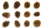 Fototapeta  - Pine cones set isolated on white