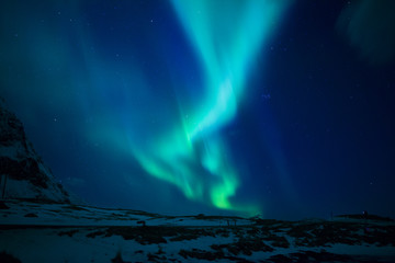 northern lights (aurora borealis). norway, lofoten