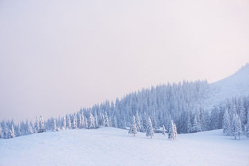 Sticker - Christmas landscape in the winter mountains at sunset