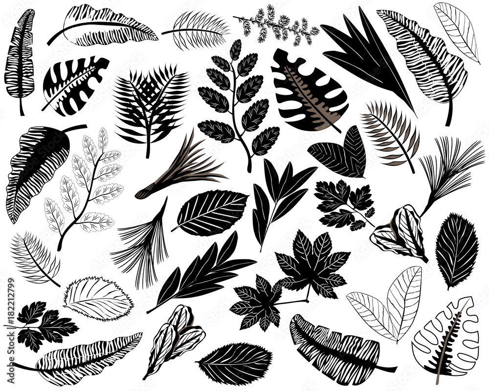 Vector de Stock Black icons of leaves of different plants. Set of ...