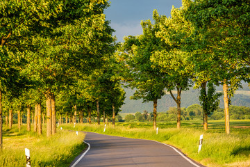 Rural road between fields in warm sunshine under dramatic sky