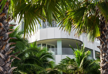 View to house between two palm trees