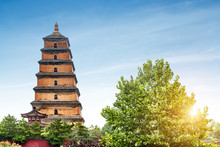 Xi'an Wild Goose Pagoda