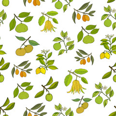 Poster - Fresh citrus seamless pattern.