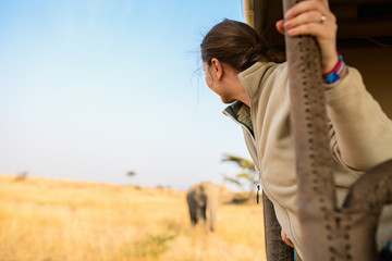 Sticker - Woman on safari game drive