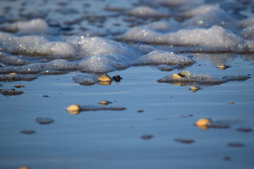 nordseeküste nach einem herbststurm