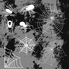 Wall Mural - Spiders and spider web silhouette spooky nature halloween element vector cobweb decoration fear spooky net.
