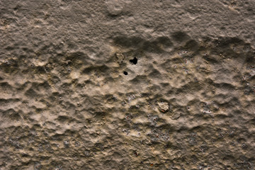 Wall Mural - Rostige Metallplatte als Hintergrund. Nur noch Rost.