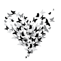 black butterfly, heart, isolated on a white