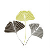 Vector Illustration ginkgo biloba leaves. Nature background with leaves.