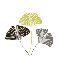 Vector Illustration Ginkgo Biloba Leaves. Nature Background With Leaves.