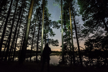 Wall Mural - Stars over the trees at summer night on dark sky. Starfall. Milky way. Pine trees. Man standing with torch light mounted on the head.