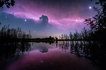 Wall Mural - stars over the lake at summer night on dark sky. starfall. amazing milky way galaxy with big amount 