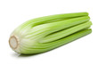 celery isolated on white background, clipping path, full depth of field