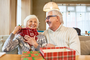 Sticker - Portrait of happy senior couple opening Christmas gifts and dinned table and laughing joyfully trying on knit scarf