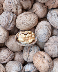 one open walnut on nutshells, tasty background