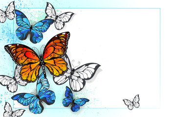 Wall Mural - Background with monarchs and morpho