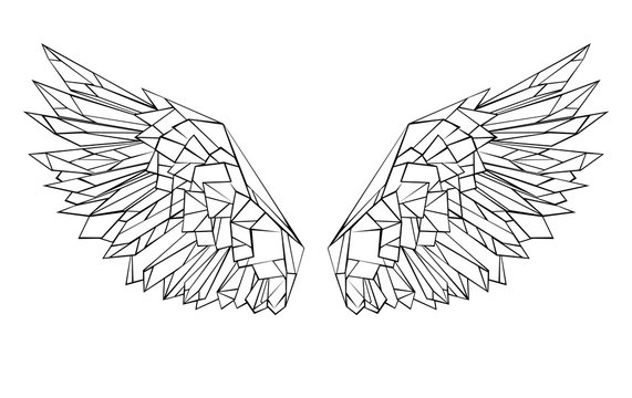 Polygonal wings