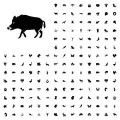 Wall Mural - Hog icon illustration. animals icon set for web and mobile.