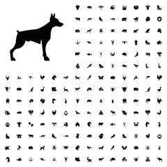 Poster - Dog icon illustration. animals icon set for web and mobile.