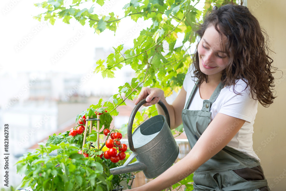 Young woman watering tomatoes on her city balcony garden - Nature and ecology theme - obrazy, fototapety, plakaty 