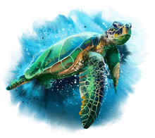 Big Sea Turtle Watercolor Painting
