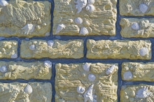 Background With Wall From Shell Rock Material