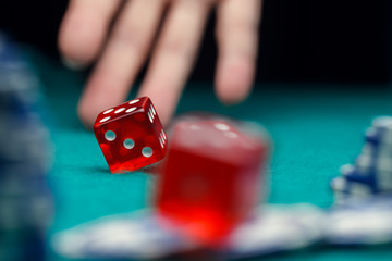 Photo of dice, chips, palm in casino on green table