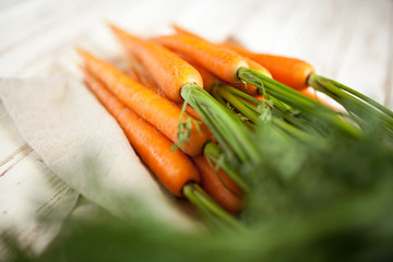 Wall Mural - Fresh organic carrot