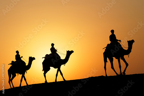 Fotografia, Obraz Caravane de trois chameaux au soleil couchant