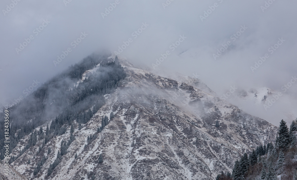fog in the winter mountain forest - obrazy, fototapety, plakaty 