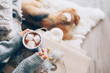 Woman hands ith cup of hot chocolate close up image, cozy home, sleeping dog, christmas time