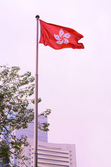 Wall Mural - Hong Kong flag during fog