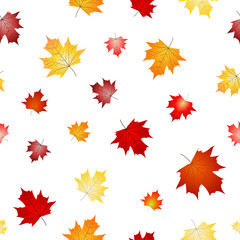 leaves pattern/ texture