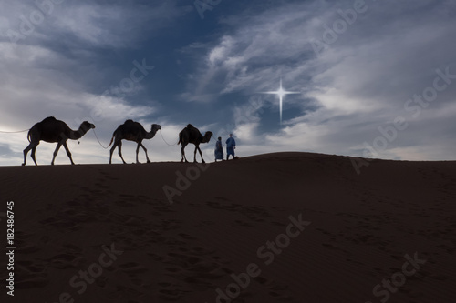 Fotografia, Obraz Camels and riders in the desert at night