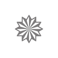 Poster - star twelve icon. web element. premium quality graphic design. signs symbols collection, simple icon