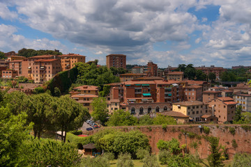 Wall Mural - Beautiful typical italian houses, Siena, Italy, Europe